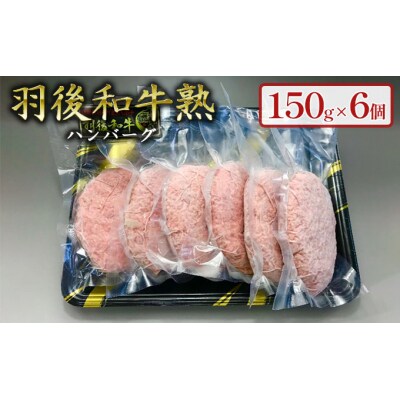 「羽後和牛熟」ハンバーグ150g×6個セット [No.5325-0044]