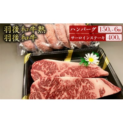 羽後和牛熟ハンバーグ6個+羽後和牛サーロインステーキ400g [No.5325-0046]