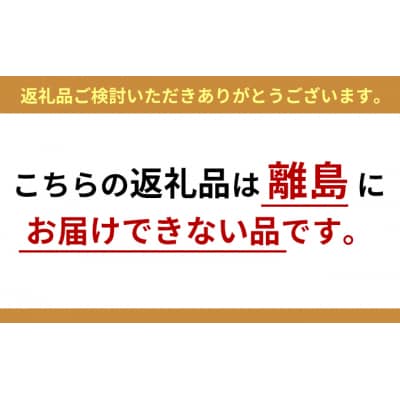 羽後和牛熟ハンバーグ6個+羽後和牛サーロインステーキ400g [No.5325-0046]