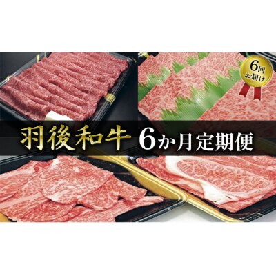 部位・量おまかせ!　羽後和牛定期便(6ヶ月)　[No.5325-0047]