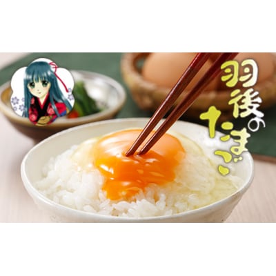羽後のたまご 30個(27個+割れ補償3個)[No.5325-0181]