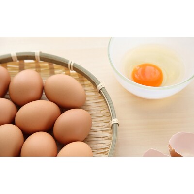 羽後のたまご 30個(27個+割れ補償3個)[No.5325-0181]