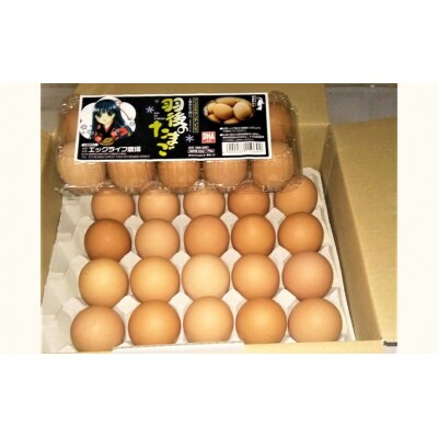 羽後のたまご 30個(27個+割れ補償3個)[No.5325-0181]