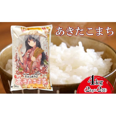 美少女イラスト あきたこまち 2kg×2袋 [No.5325-0196]