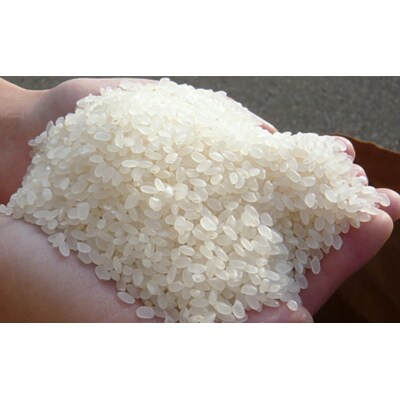 盆踊りあきたこまち 3kg×3袋 [No.5325-0197]