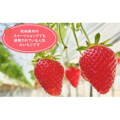秋田県羽後町産 冷凍いちご 1kg(500g×2)[No.5325-0216]