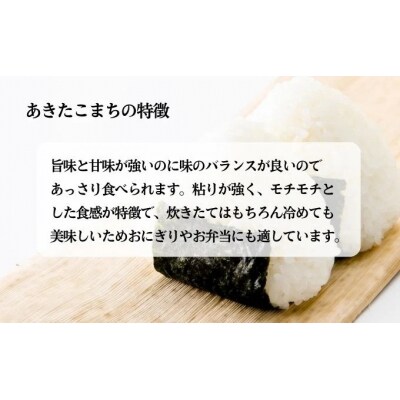 無洗米 あきたこまち 10kg (5kg×2袋) 令和7年産 [No.5325-0260]