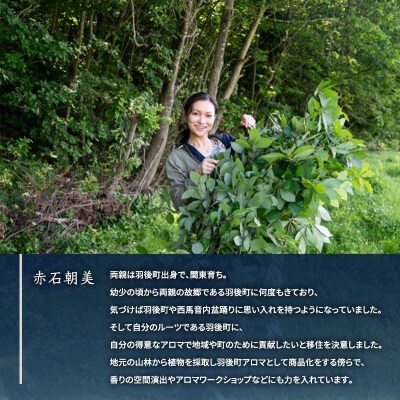 杉宮精香堂 マスクミスト relax 20ml [No.5325-0277]