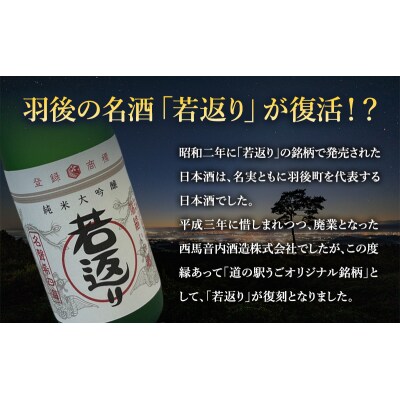 日本酒　純米大吟醸「若返り」720ml×2本[No.5325-0299]
