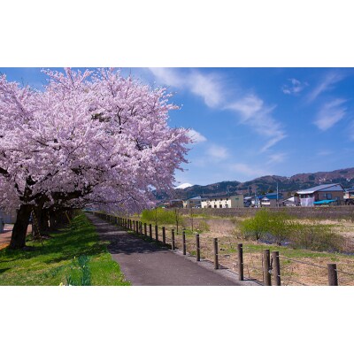 【返礼品なし】秋田県羽後町へのご寄附(一口:1,000円)[No.5325-0305]