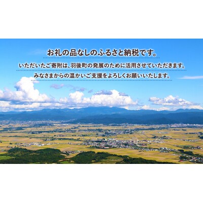 【返礼品なし】秋田県羽後町へのご寄附(一口:10,000円)[No.5325-0309]
