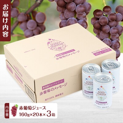 赤葡萄ジュース「sonomama」(160g×20本)×3箱[No.5325-0351]