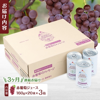 定期便3ヵ月 赤葡萄ジュース「sonomama」(160g×20本)3箱[No.5325-0354]