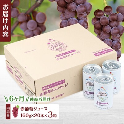 定期便6ヵ月 赤葡萄ジュース「sonomama」(160g×20本)3箱[No.5325-0355]