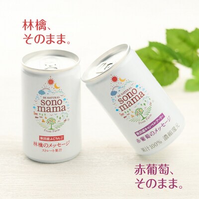 《定期便3ヵ月》ミックス「sonomama」(160g×10本)[No.5325-0356]