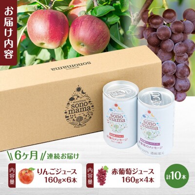 《定期便6ヵ月》ミックス「sonomama」(160g×10本)[No.5325-0357]