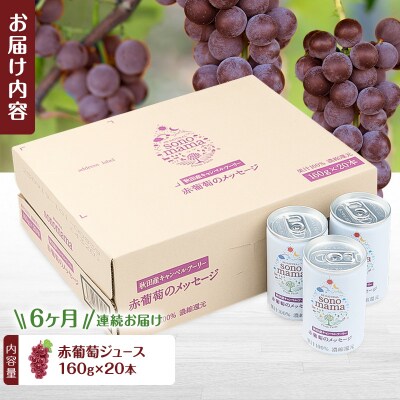 《定期便6ヵ月》赤葡萄ジュース「sonomama」(160g×20本)[No.5325-0361]