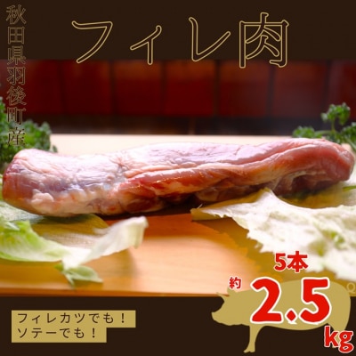 羽後町産豚肉 フィレ肉 5本 2.5kg前後[No.5325-0372]