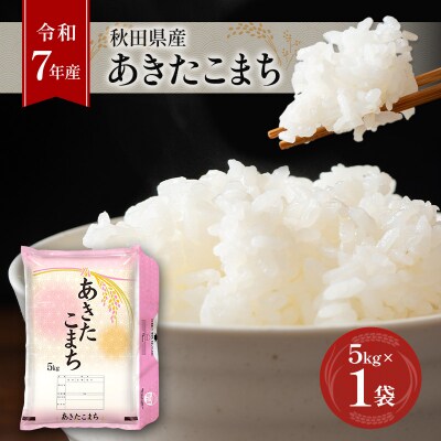 【令和7年産】秋田県産あきたこまち 5kg×1袋[No.5325-0378]