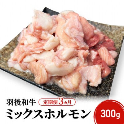 《定期便3ヵ月》羽後和牛 ミックスホルモン 300g[No.5325-0400]