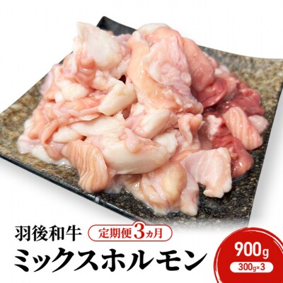 《定期便3ヵ月》羽後和牛 ミックスホルモン 900g(300g×3)[No.5325-0404]