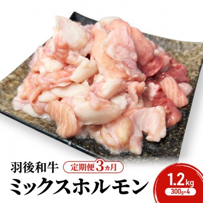 《定期便3ヵ月》羽後和牛 ミックスホルモン 1.2kg(300g×4)[No.5325-0406]