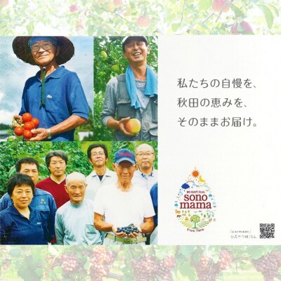 りんごジュース「sonomama」(160g×5本)×1箱[No.5325-0408]