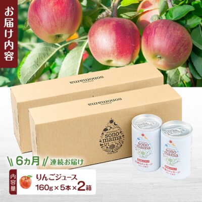《定期便6ヵ月》りんごジュース(160g×5本)×2箱[No.5325-0415]