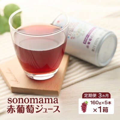 《定期便3ヵ月》赤葡萄ジュース(160g×5本)×1箱[No.5325-0416]