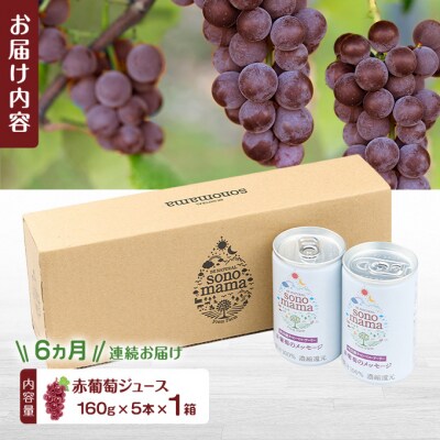 《定期便6ヵ月》赤葡萄ジュース(160g×5本)×1箱[No.5325-0417]