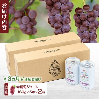 《定期便3ヵ月》赤葡萄ジュース(160g×5本)×2箱[No.5325-0418]