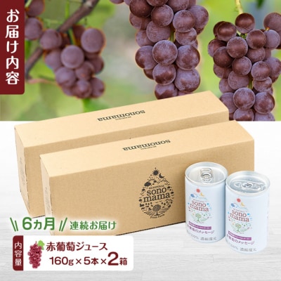 《定期便6ヵ月》赤葡萄ジュース(160g×5本)×2箱[No.5325-0419]