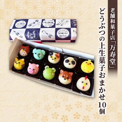 どうぶつの上生菓子おまかせ10種(計10個)[No.5325-0436]