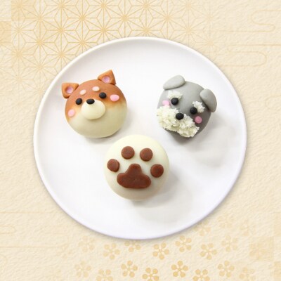 わんちゃんの上生菓子おまかせ5種 各2個ずつ(計10個)[No.5325-0437]