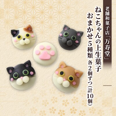 ねこちゃんの上生菓子おまかせ5種 各2個ずつ(計10個)[No.5325-0438]