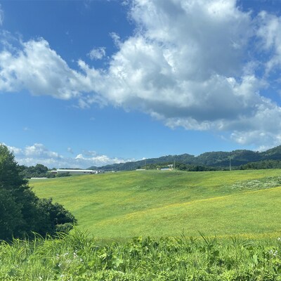【有機肥料】羽後ユーキ(C/N比13以上)40L(約12kg)×3個[No.5325-0465]