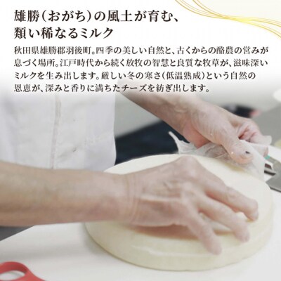 チーズ モッツァレラ「雄勝モッツァレラ80g」6個[No.5325-0515]