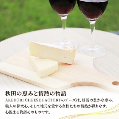チーズ 「アヴァプレーン長期熟成40g」4個[No.5325-0535]