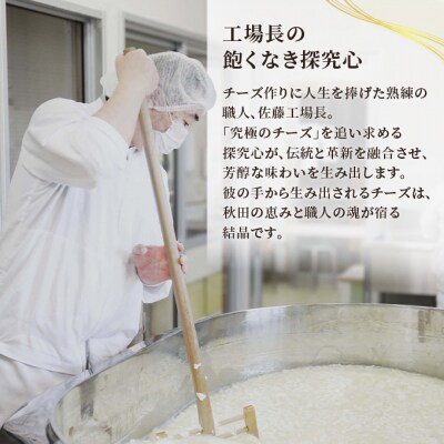 チーズアソート お試し6種セット[No.5325-0543]