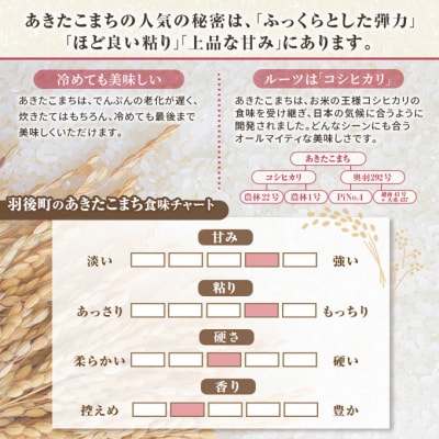 秋田県羽後町産あきたこまち 精米 5kg×1袋[No.5325-0581]