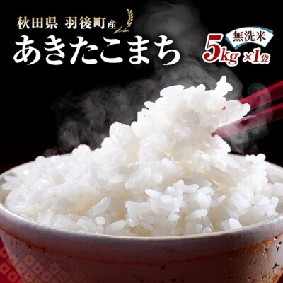 秋田県羽後町産あきたこまち 無洗米 5kg×1袋[No.5325-0582]