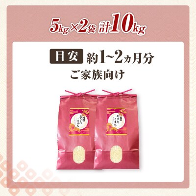秋田県羽後町産あきたこまち 精米 10kg(5kg×2袋)[No.5325-0583]