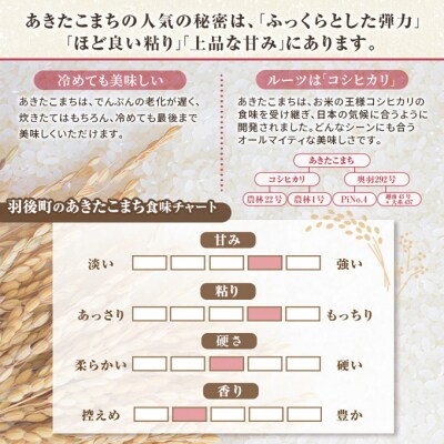 秋田県羽後町産あきたこまち 精米 10kg(5kg×2袋)[No.5325-0583]