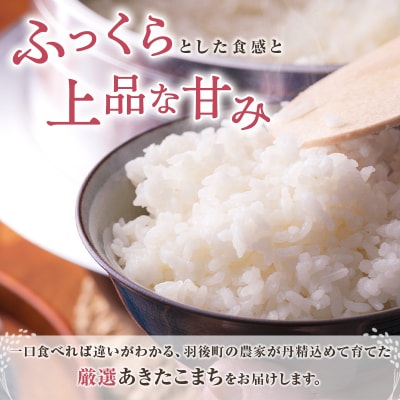 秋田県羽後町産あきたこまち 精米 10kg(10kg×1袋)[No.5325-0584]
