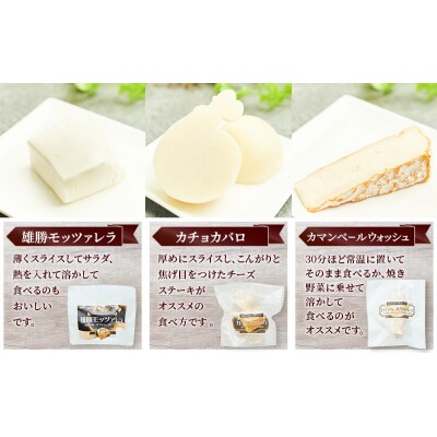 【2ヶ月毎全2回お届け】チーズアソート5種9個/フレッシュセット[No.5325-0592]