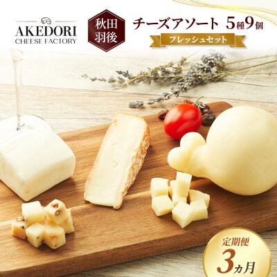 【定期便3ヶ月】チーズアソート5種9個/フレッシュセット[No.5325-0593]