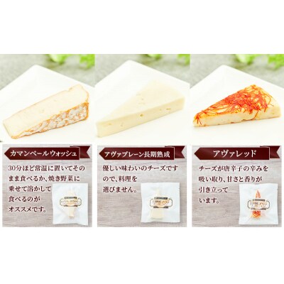 【定期便3ヶ月】チーズアソート3種4個/熟成セット[No.5325-0597]