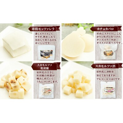 【2ヶ月毎全2回お届け】チーズアソート/お試し7種セット[No.5325-0600]