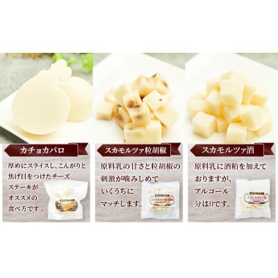 【定期便3ヶ月】チーズアソート/お試し6種セット[No.5325-0603]