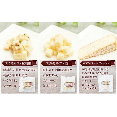 【定期便3ヶ月】チーズアソート5種/おつまみセット[No.5325-0605]